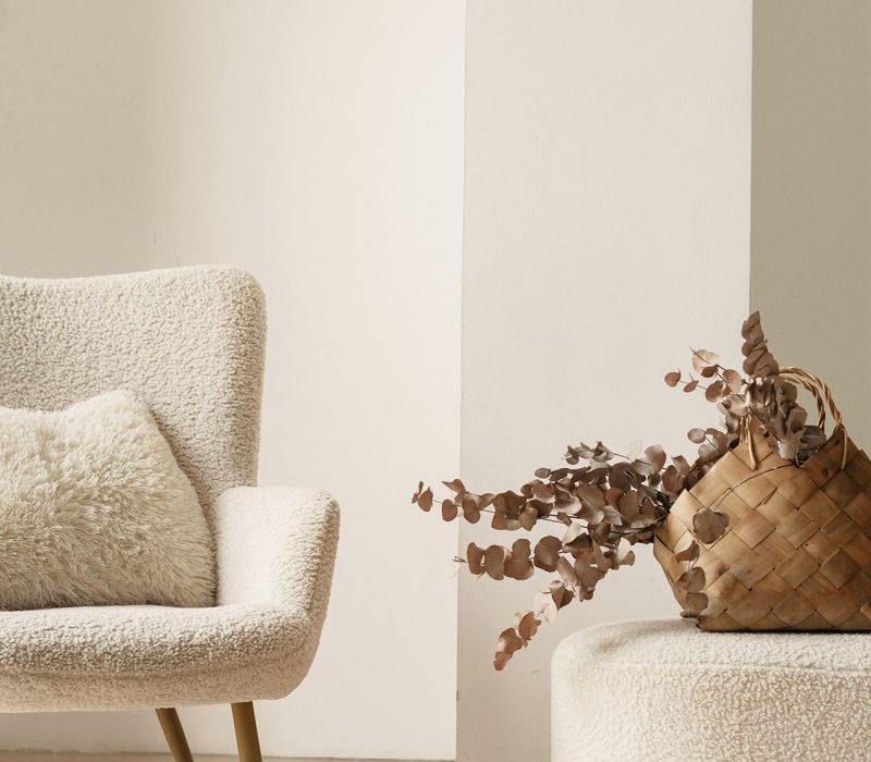 rincón en armonía con sofa blanco y planta decorativa
