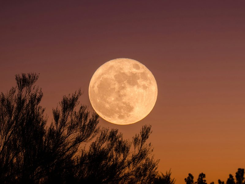 luna llena en anochecer